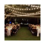 Feit Indoor Outdoor String Lights – 48 ft - Image 2