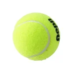 Penn Championship Extra Duty Tennis Balls – Pack of 60 - Image 3
