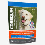 Cosequin Maximum Strength Dog Joint Supplement 3-Pack