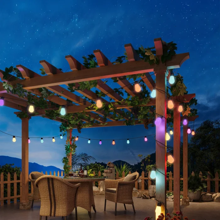 Govee Lynx Dream LED String Lights Multicolor Outdoor