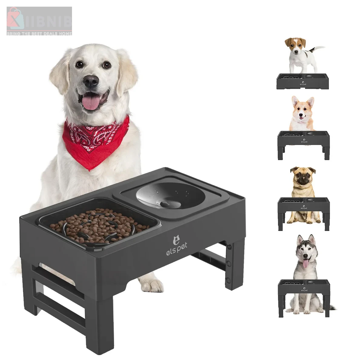 ELS Pet Rai ed Dog Bowl  – Pet Bowl  & Feeder  | XIIBNIB